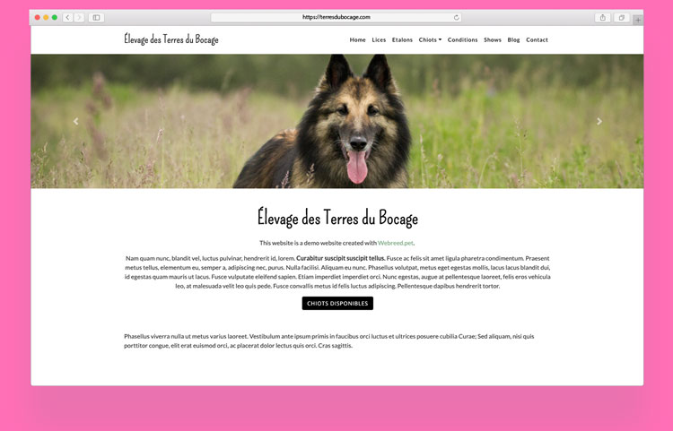 Make your Breeder Website